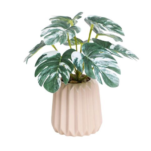 Living & Co Artificial Plant in Ribbed Pot
