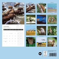 WS 2026 Calendar Wild Animals