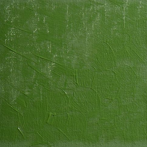 BLOCKX Oil Tube 35ml S5 561 Lamoriniere Green