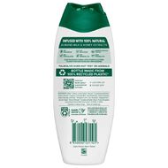 Palmolive Milk & Honey Bodywash 500ml