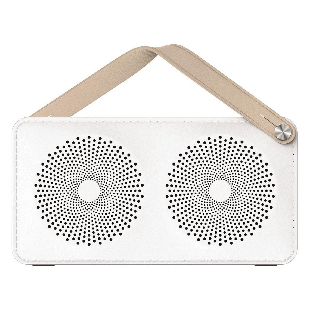 tech inc portable speaker