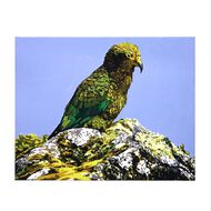 Uniti Art Paint By Numbers Kea