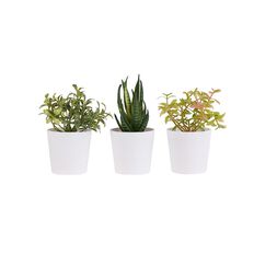 Living & Co Artificial Succulents Set of 3