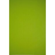Kaskad Board 225gsm Parakeet Green Mid A3