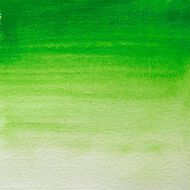 BLOCKX Watercolour Half Pan S3 361 Sap Green