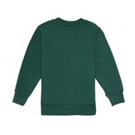 Schooltex Seddon School Sweatshirt with Embroidery