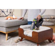 Bissell Stain Eraser Pet