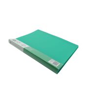 WS Colour Pop Clearbook Premium 40 Page Green