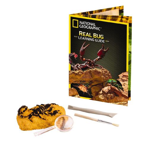 National Geographic Dig Kit