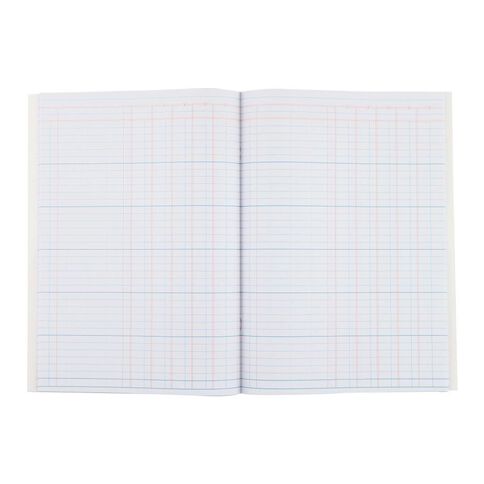 WS 5 Money Column Limp Analysis Book 26 Leaf Green A4