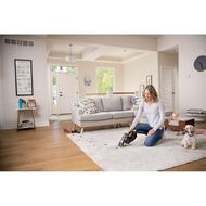 Bissell Stain Eraser Pet