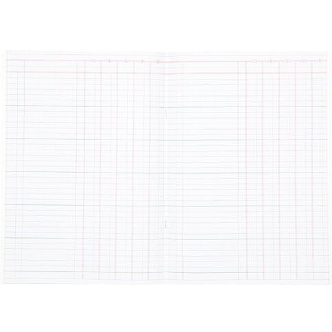 WS 5 Money Column Limp Analysis Book 26 Leaf Green A4