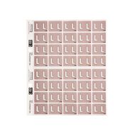 Filecorp Coloured Labels L Brown Mid
