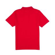 Schooltex Bledisloe School Short Sleeve Polo with Embroidery