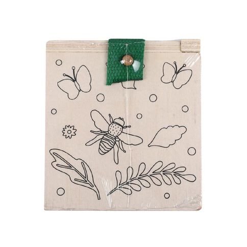 Paint Your Own Insect Observation Box