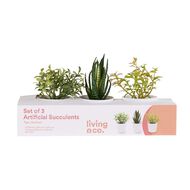 Living & Co Artificial Succulents Set of 3