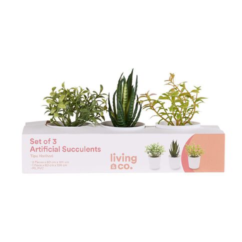 Living & Co Artificial Succulents Set of 3