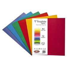 Trophee Board 210gsm Brights A4 12 Pack