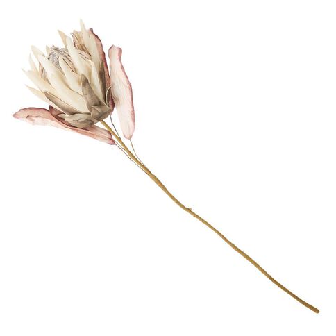 Living & Co Artificial Dried Look Protea Stem