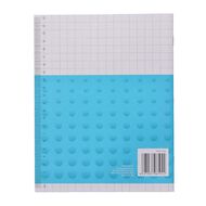 WS Exercise Book 1H4 10mm Quad 28 Leaf Blue