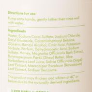 Good One Antibacterial Handwash Bush Walk Bliss 500ml