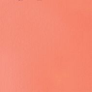 Liquitex Basics Acrylic 118ml Light Portrait Pink