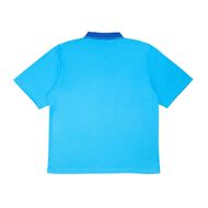 Schooltex Mt Albert Short Sleeve Polo with Embroidery