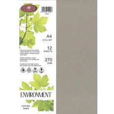 Direct Paper Enviro Board 270gsm Concrete A4 12 Pack