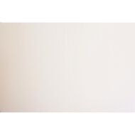 Plasti-Flute Sheet 600mm x 450mm White