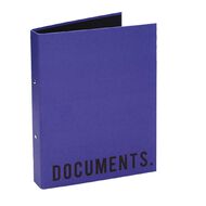 WS Colour Pop 2D Ringbinder Blue