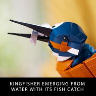 LEGO Icons Kingfisher Bird 10331