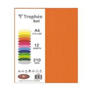 Trophee Board 210gsm Flame 12 Pack