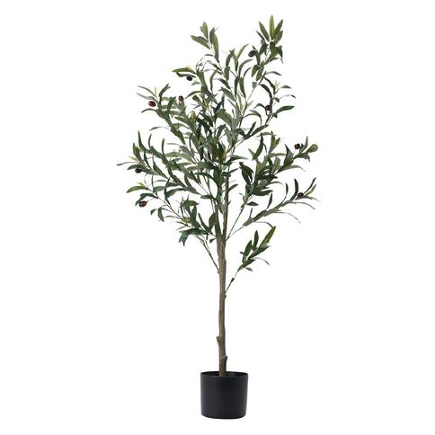 Living & Co Artificial Olive Tree 120cm