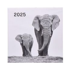 WS Calendar 2025 Baby Animals 29cm x 29cm Square