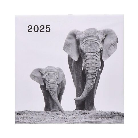 WS Calendar 2025 Baby Animals 29cm x 29cm Square