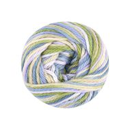 Birch Cotton Print 4Ply Worsted 100% Cotton 65G Botanic Haze