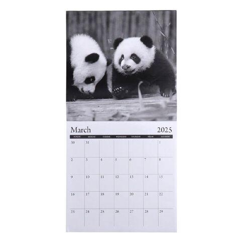 WS Calendar 2025 Baby Animals 29cm x 29cm Square