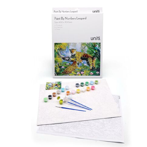 Uniti Paint By Number Leopard