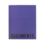 WS Colour Pop 2D Ringbinder Blue