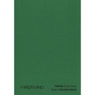 Fabriano Tiziano Pastel Paper 50cm x 65cm Billiard Green Green Mid