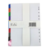 WS Reinforced Coloured Dividers