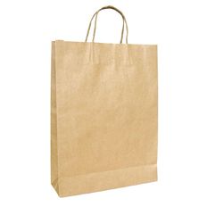 Medium Twisted Handle Paper Bag 25 Pack