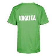 Schooltex Coromandel Area School Tokatea House Tee with Transfer