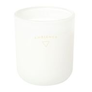Living & Co Ambience Candle Jar Citrus Grove