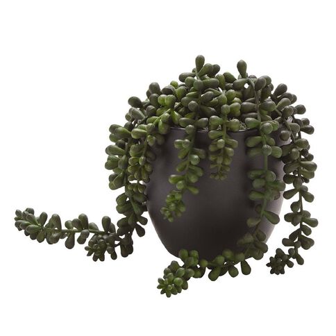 Living & Co Artificial Succulent Beaded Plant Black