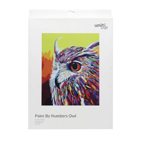 Uniti Paint By Numbers Owl