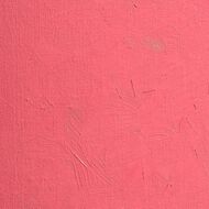 BLOCKX Oil Tube 35ml S3 425 Rose Lake Rose