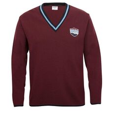 Schooltex Darfield High Jersey with Embroidery