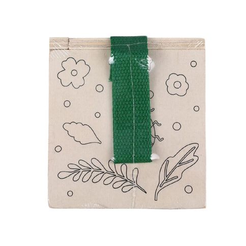 Paint Your Own Insect Observation Box