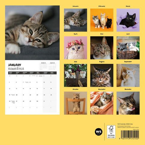 WS 2026 Calendar Cats